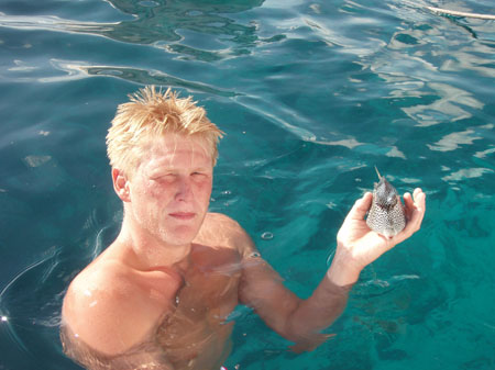 40 Andi har fanget Trunkfish...